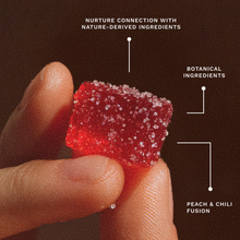 Load image into Gallery viewer, Spicy Cubes